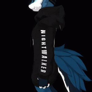 TwoTone Streetwear Hoodie for Novabeast